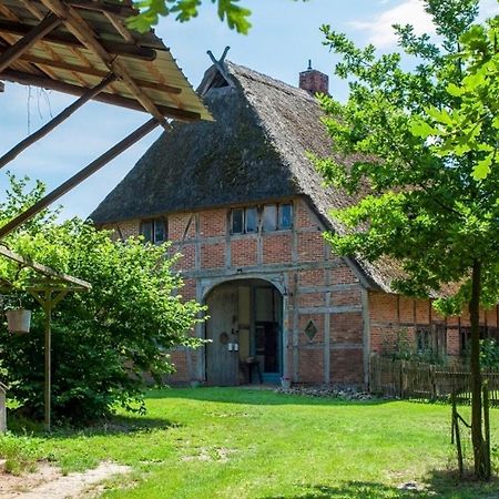 Reetscheune Kruezen Kruzen Extérieur photo