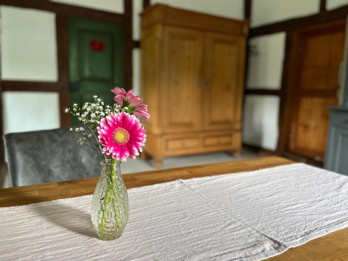 Reetscheune Kruezen Kruzen Extérieur photo