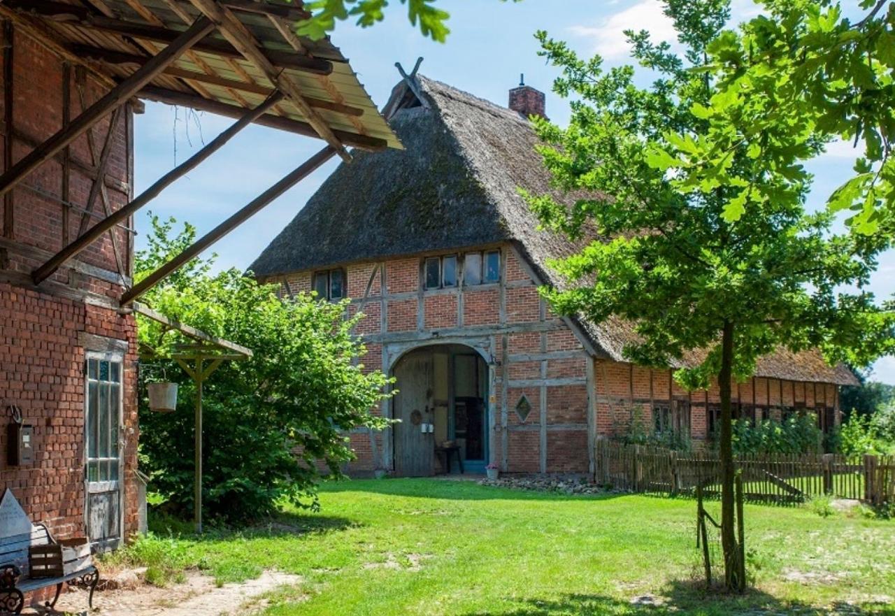 Reetscheune Kruezen Kruzen Extérieur photo